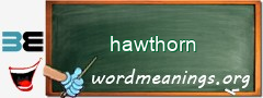 WordMeaning blackboard for hawthorn